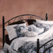 Willow Metal Headboard