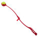 Launch A Ball Fetch Dog Toy