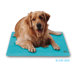 Canine Cooler Pet Bed