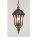 Baton Rouge 4 Light Outdoor Convertible Pendant in Walnut