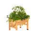 Elevated Patio Planter