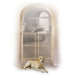 Wood Wire Mesh Pet Gate
