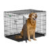 iCrate Double-Door Dog Crate