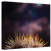 Mark Ross ''Obviousness Has it's Advantages'' Canvas Art