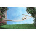 Rope Hammock Built For Two