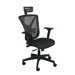Executive Mesh Chair with Headrest