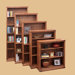 Traditional Bookcase with 1 Fixed and 2 Adjustable Shelves
