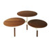 Lily Pad Coffee Table