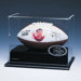 Mini Football Display Case