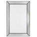 Tompkins Mirror