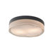 Fluid Round Ceiling Light