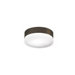 Cirque 360&deg; 2 Light Flush Mount