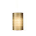 Fab 1 Light Two-Circuit Monorail Pendant