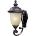 Carriage House ES 31" One Light Outdoor Wall Lantern in Oriental Bronze