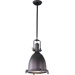 Hi-Bay 100W 1 Light Pendant