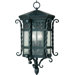 Scottsdale Outdoor Hanging Lantern in Country Forge