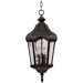 Garden Outdoor Hanging Lantern in Oriental Bronze