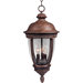 Knob Hill DC Outdoor Hanging Lantern in Sienna