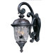 Carriage House DC Outdoor Wall Lantern in Oriental Bronze