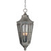 Beacon Hill VX  Outdoor Hanging Lantern