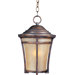 Balboa VX  Outdoor Hanging Lantern