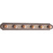 Large  Vanity Light