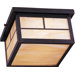 Craftsman Outdoor Flush Mount - Energy Star