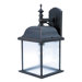 Governor Medium Outdoor Wall Lantern