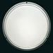 Pantarei 390 Indoor/Outdoor Wall and Ceiling Light