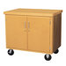 Mobile Storage Cabinet