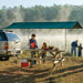 Quick Clamp Canopy