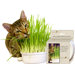 Snack 'n Treats Easy Oats Kit