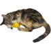 Cat 'n Around Lemon Refillable Catnip Toy