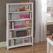 School House Tall Vertical Bookcase