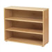 Low Bookcase