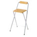 Folding Bar Chair in Silvertone (Set of 2)