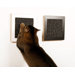 Itch Wall Wood Cat Scratcher