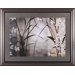 Silver Whispers II Framed Artwork