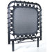 AeroPilates Free-Form Cardio Rebounder