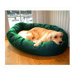 Bagel Dog Bed in Green and Sherpa