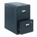 Fire-Safe&reg; Two-Drawer Office File