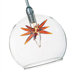 Starburst 8 Light Pendant