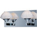 Blossom 2-Light Bathroom Vanity