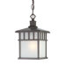 Barton  Hanging Pendant in Olde World Iron