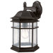 Barlow 13" H Outdoor Wall Lantern in Winchester