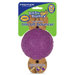 Busy Buddy Medium Biscuit Bouncer Dog Toy