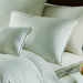 Aurora Snow White Down Pillow