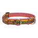 Flower Patch 1" Adjustable Large Dog Combo Collar