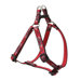 Wild West 1/2" Adjustable Small Dog Step-In Harness