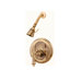 Erie Pressure Thermostatic Balance Shower Faucet